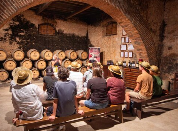 04 Quinta Sao Joao Batista 3 - Portugal Alentejo Wine Tour 2025