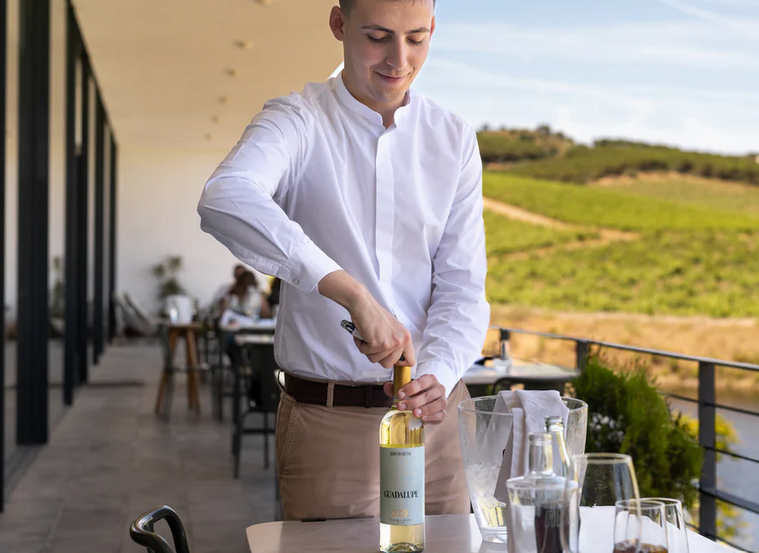 11 Quinta do Quetzal 2 - Portugal Alentejo Wine Tour 2025