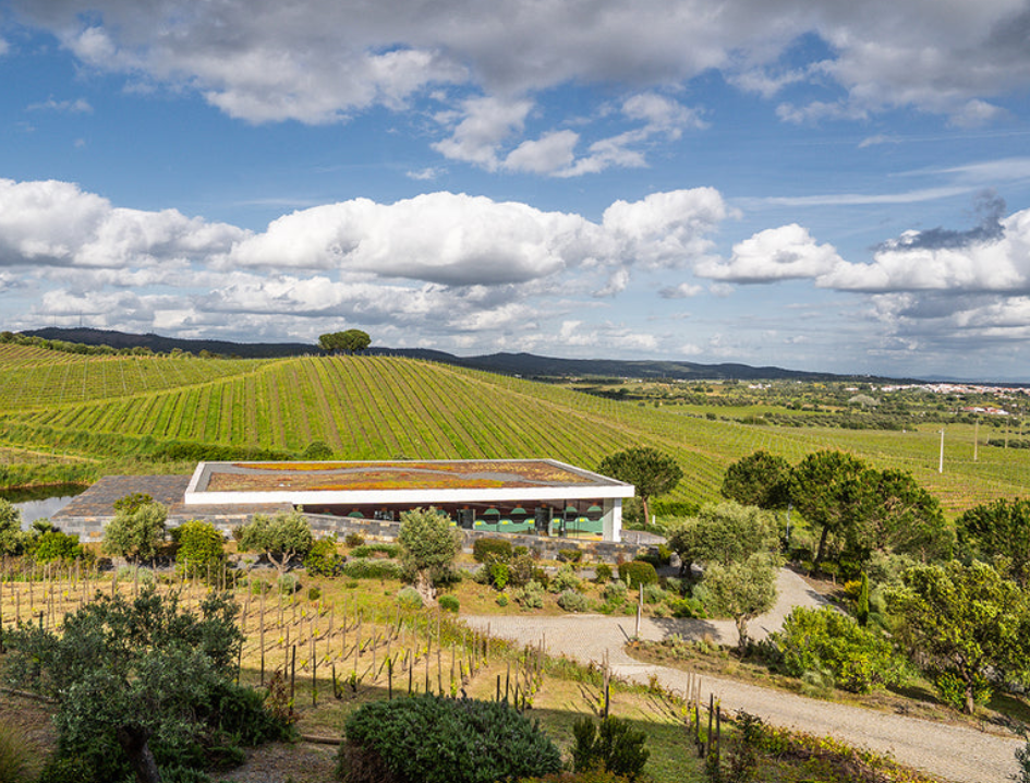 11 Quinta do Quetzal 3 - Portugal Alentejo Wine Tour 2025