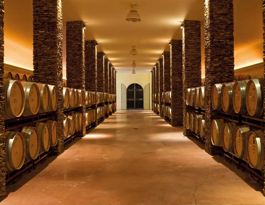 13 Herdade dos Grous. 3 - Portugal Alentejo Wine Tour 2025