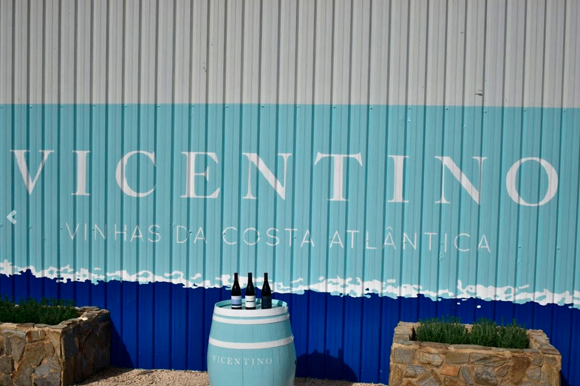 17 Vicentino 2 - Portugal Alentejo Wine Tour 2025
