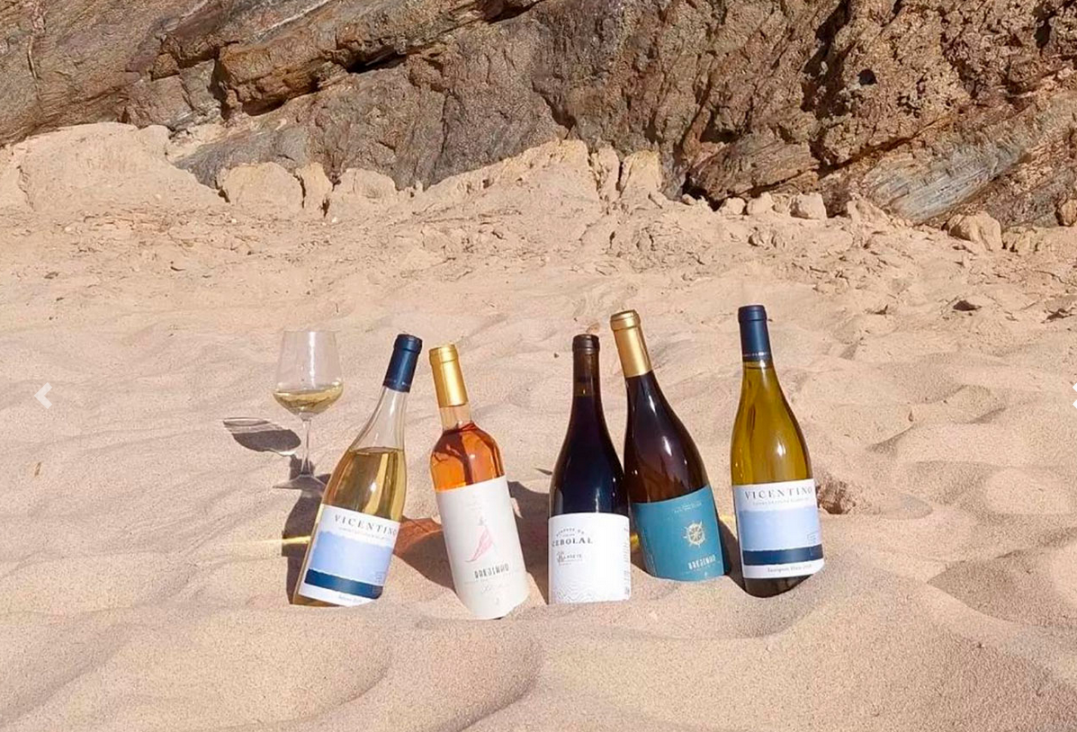17 Vicentino 3 - Portugal Alentejo Wine Tour 2025