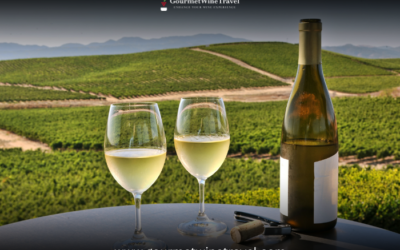 Your Guide to the Best Alentejo Wine Tour in Portugal Gourmet 400x250 - Armin's Tips & Blog