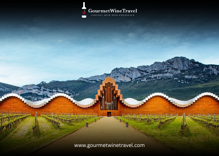 Spain’s Rioja Region: Where Tradition Meets World-Class Wine