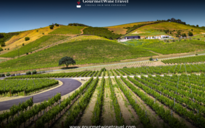 Gourmet Exploring Greece Wine  A Taste of Ancient Vineyards and Modern Flavors 400x250 - Armin's Tips & Blog