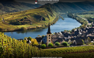 Gourmet Tasting Germany Wine  A Tour of Its Famous Vineyards and Wineries 400x250 - Armin's Tips & Blog