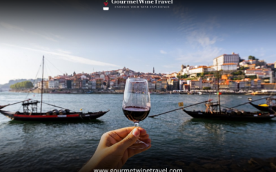 gourmet Discovering Porto Douro  Portugals Scenic and Historic Wine Region 400x250 - Armin's Tips & Blog