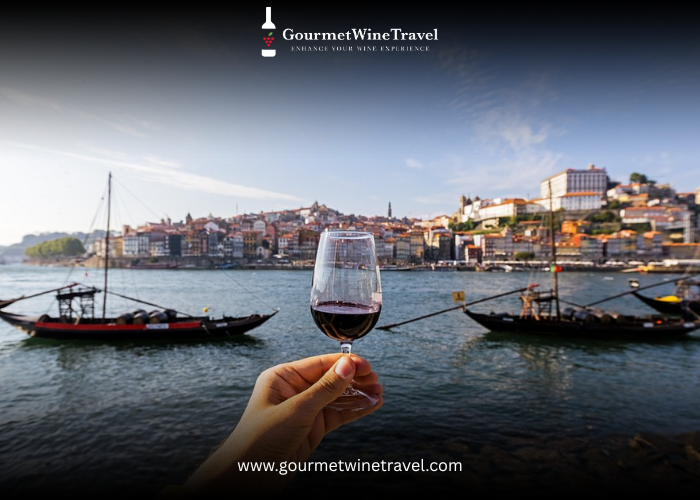 Poggio Stenti Wine Tasting – A Blend of Taste, Passion, and Heritage