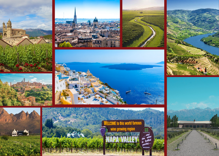 Best Wine Destinations Every Wine Lover Must Explore