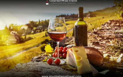 Exploring Swiss Wines  A Unique Wine Tasting Journey 1 400x250 - Armin's Tips & Blog