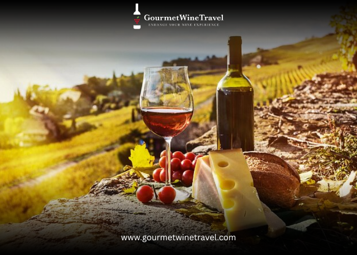 Exploring Swiss Wines - A Unique Wine Tasting Journey