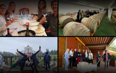 Armin's Tips & Blog Behind the Scenes of a Gourmet Wine Travel Tour From Vineyard Visits to Cellar Tastings 400x250 - Armin's Tips & Blog