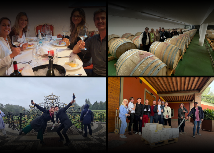 Behind the Scenes of a Gourmet Wine Travel Tour From Vineyard Visits to Cellar Tastings