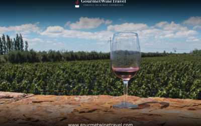 Armin's Tips & Blog Blog post Georgias Wine Tasting Culture Regions Wines and Must Visit Wineries 400x250 - Armin's Tips & Blog