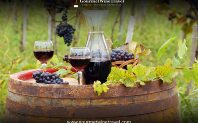 Worlds Top Wine Tours for Wine Lovers with Gourmet Wine Travel 400x250 - Armin's Tips & Blog