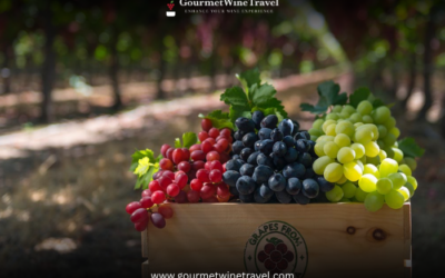 California Grape Varieties 400x250 - Armin's Tips & Blog